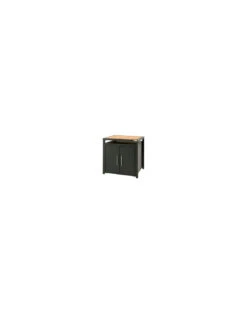 MODULE PLACARD DE RANGEMENT BIG GREEN EGG - SANS PLATEAU NI ROUE