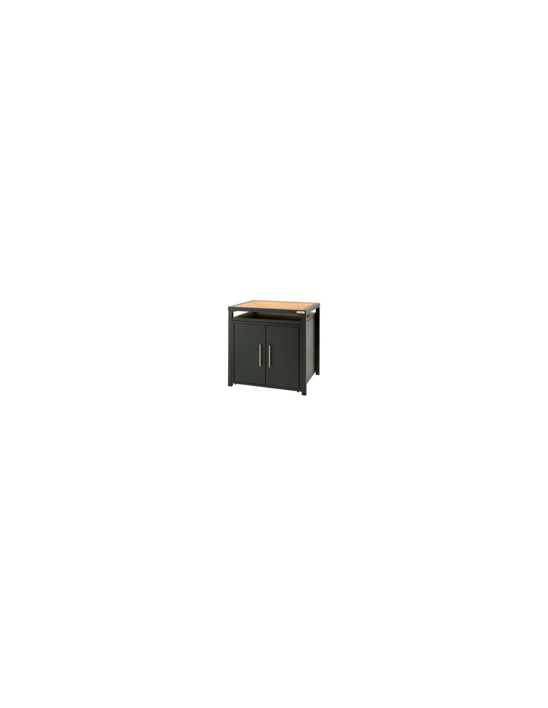 MODULE PLACARD DE RANGEMENT BIG GREEN EGG - SANS PLATEAU NI ROUE 3 MODULE PLACARD DE RANGEMENT BIG GREEN EGG - SANS PLATEAU NI ROUE